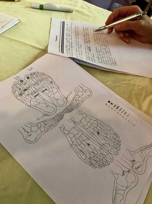 esempio di una coltivazione di una mappa di riflessologia plantare