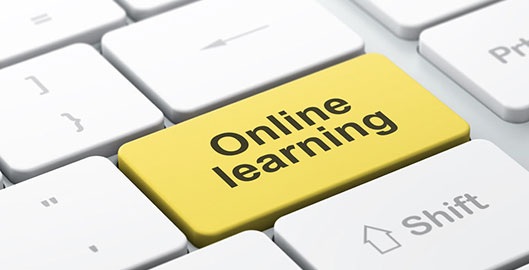 Corsi di Naturopatia Online: Come Scegliere la Formazione Migliore per Diventare Naturopata