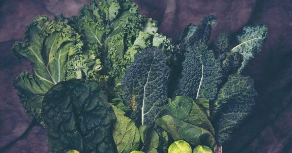 verdure a foglie verdi
